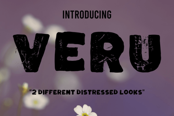 Veru: A Display Font for Cohesive Editorial Storytelling